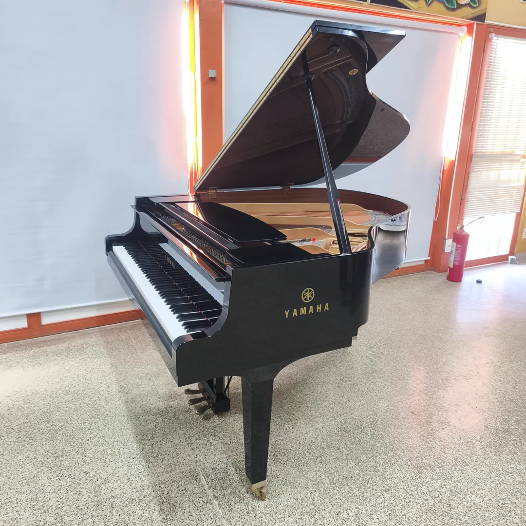 Yamaha C1 · 1/4 de cauda preto