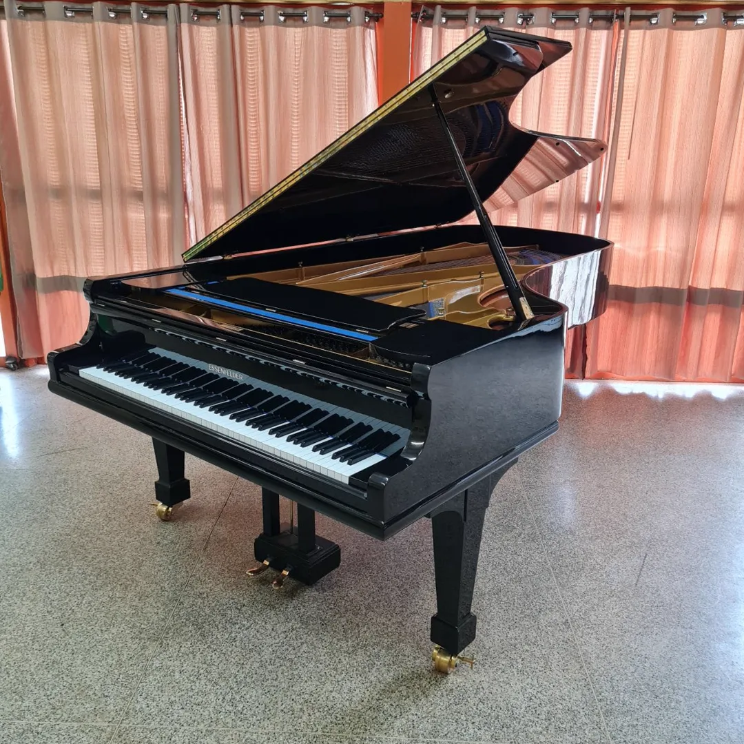 Essenfelder V · 4/4 de cauda preto · concerto