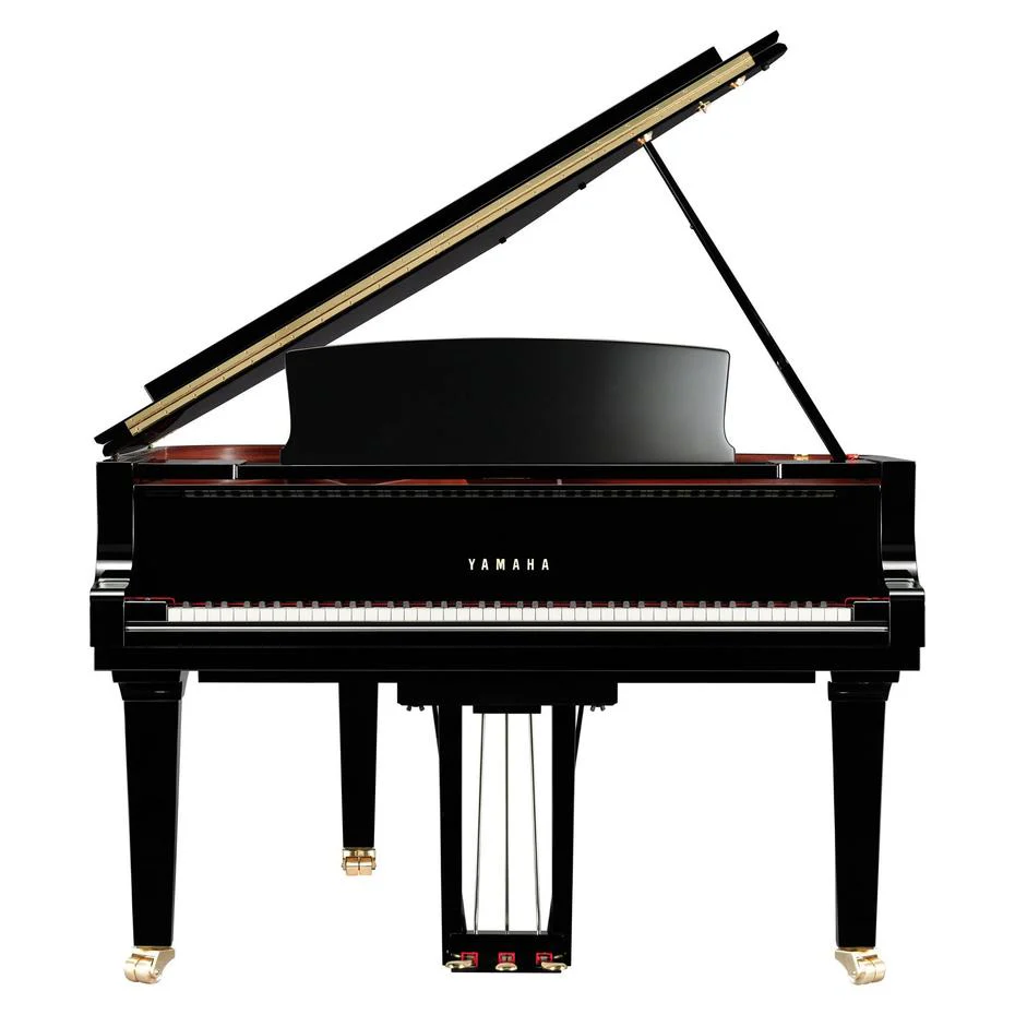 Yamaha C1X · 161 cm · cauda CX de entrada